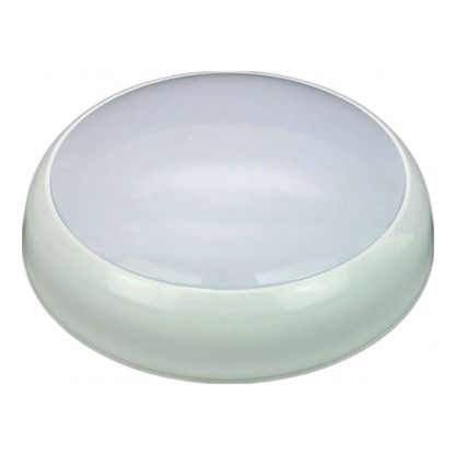 images/categorieimages/mp100011-led-plafondlamp-12w-bulkhead.png