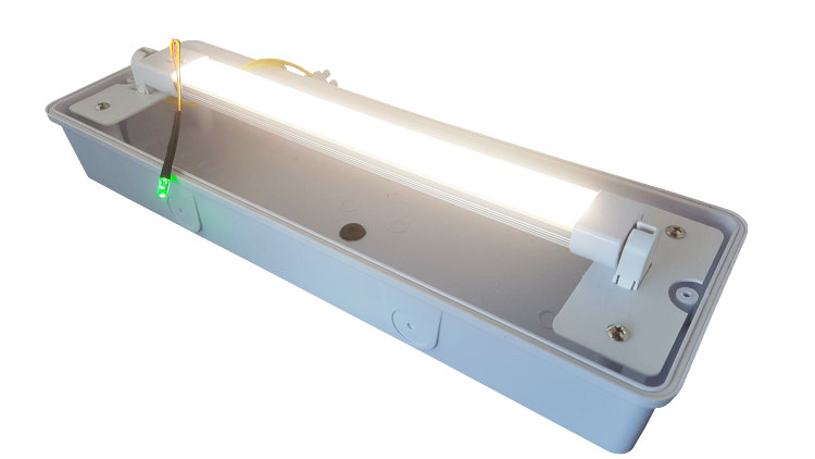 LED Portiek-Galerij Opbouw verwisselbare buis met noodpakket 4W 400Lm IP65