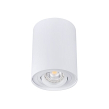 Opbouwspot rond - Bord1 - Wit - Kantelbaar - Ø95x125mm