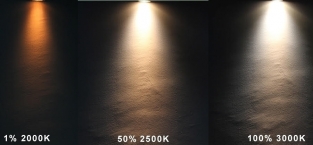 LED GU10 spot - 5W - Dimbaar op kleur (2000-3000K) - 45 graden - zwart