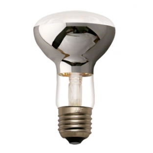 LED E27 R63 Filament