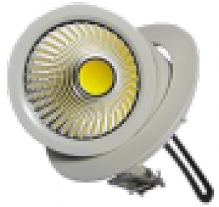 Led Downlight 40W Gimble met verstelbare kop